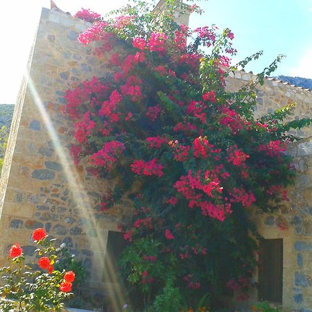 Hotel Lithochtisto à Monemvasia Extérieur photo