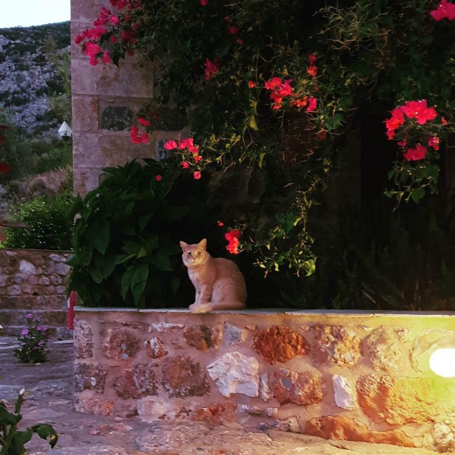 Hotel Lithochtisto à Monemvasia Extérieur photo